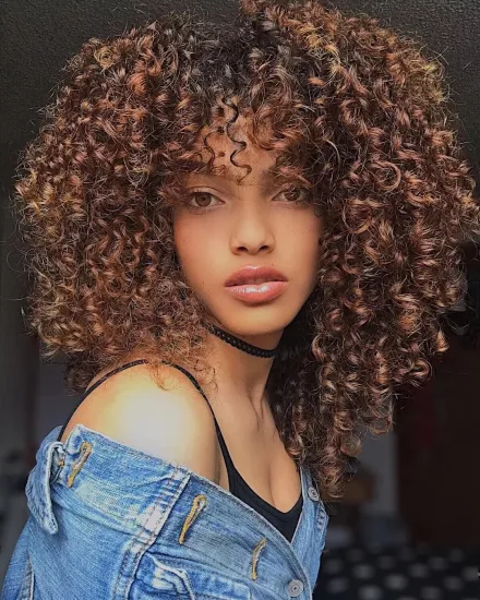 Hot Selling Short Synthetic Wigs Afro Kinky Jerry Curly Wig for Women Black Brown Blonde Natural Bob Wig High Temperature Hair