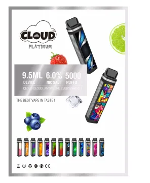 Disposable Electronic Cigarettes 5000 Puffs 9.5ml Vape Pen