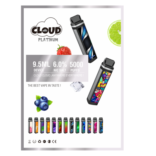 5000 puffs 1400 mah Disposable Electronic Cigarette