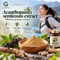 Extracto de Acanthopanax senticosus con eleuterósido E y polisacáridos