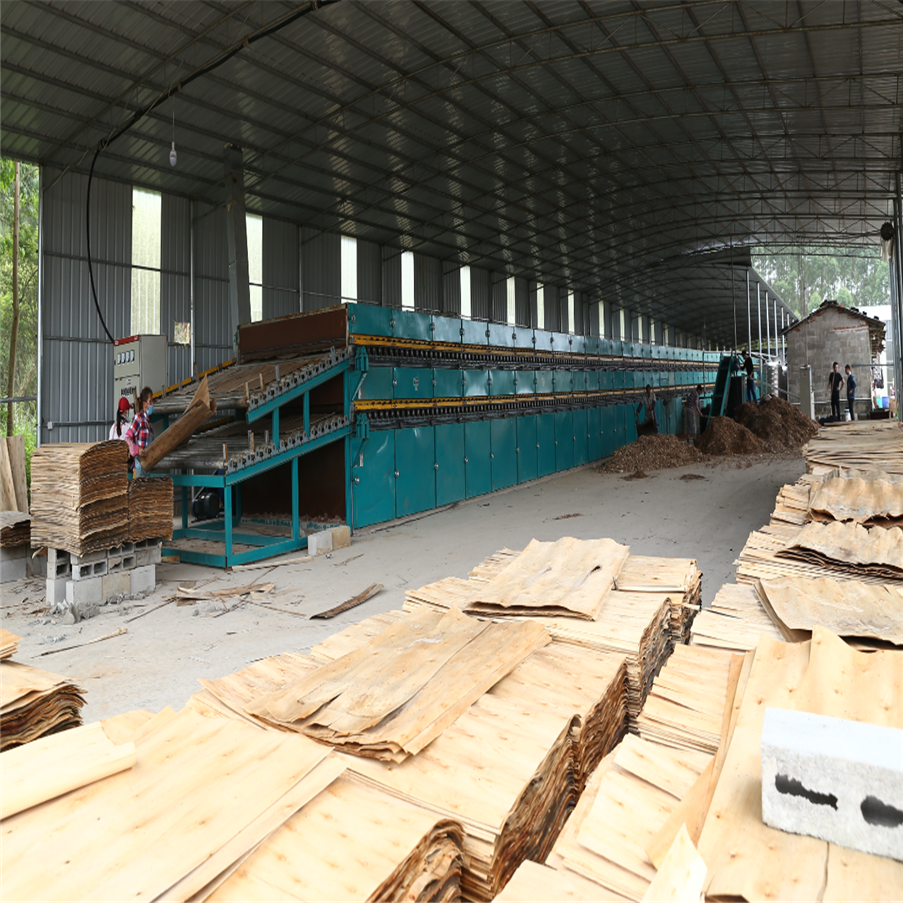 Biomass Roller Veneer Dryer