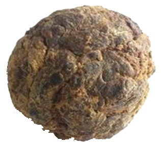 Ochsengalle ox bile