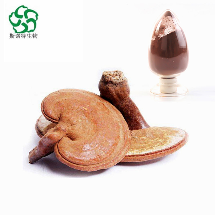 Reishi Mushroom Extract Polissacarídeos 10%-30%