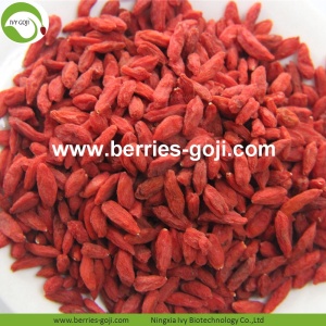 Bekalan Kilang Beli Harga Sehat Beli Goji