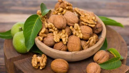 Walnut small peptide powder