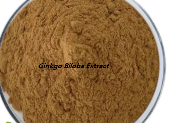 Ginkgo Biloba Extract2