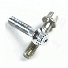 Rust Resistant Titanium Screws