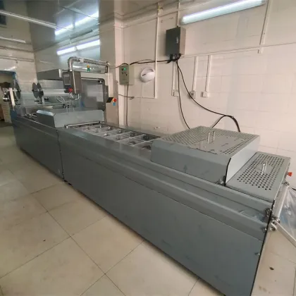 Stainless Steel Thermoforming Vacuum Packing Machine for Rice and Dates