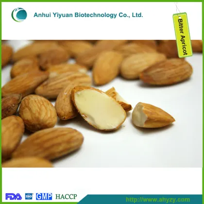 Wild Bitter Apricot Kernels