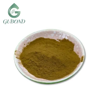 Lotus Leaf Extract 2% Nuciferine Bulk Brown Powder
