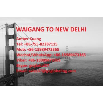Shanghai Waigang Sea Freight to India New Delhi