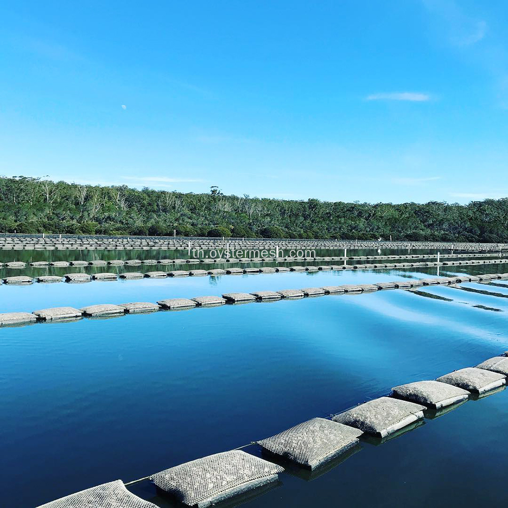 ถุงตาข่ายหอยนางรมโฟมที่ดีที่สุดสำหรับการเพาะเลี้ยงสัตว์น้ำ