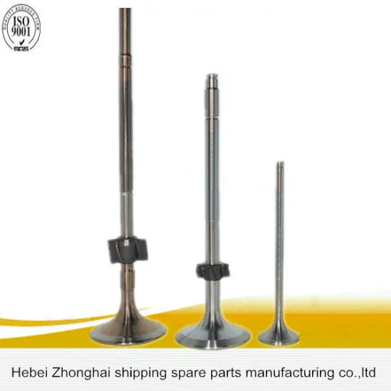 Ship Diesel Engine Valves for Marine MAN 16/24