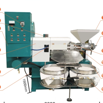 Automatic Screw Oil Press Machine for Cold and Hot Oil Extrusion (Peanut, Soybean, Sesame, Sunflower)