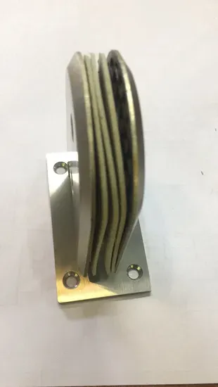 Modern Frameless Glass Shower Door Hinges
