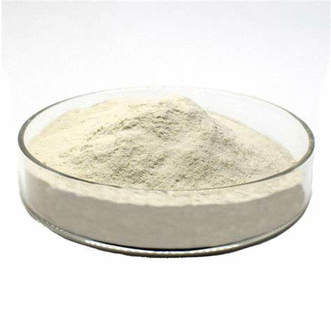 Oyster Meat Extract Powder Oyster Protein Peptide