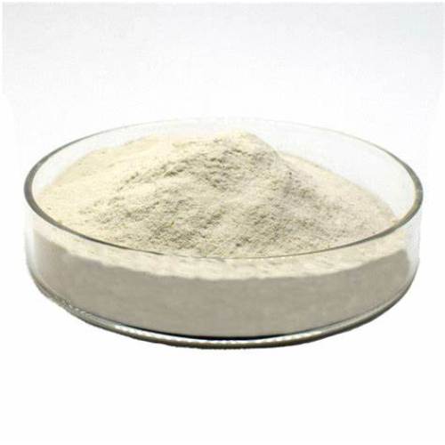 Oyster Meat Extract Powder Oyster Protein Peptide