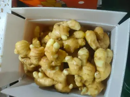 wholesale organic fresh/driedginger