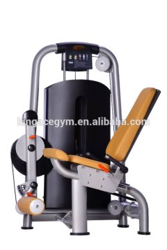 Gym Room Used Professional Commercial Leg Extension