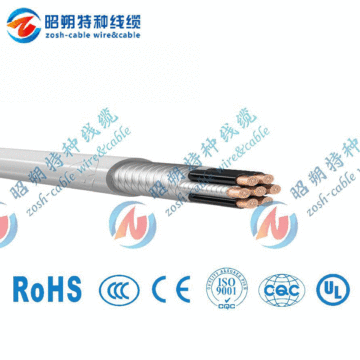 Servo Drive Cable, CE Certification (Mobile Installation)