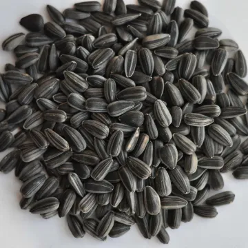inner mongolia black sunflower seeds for oil