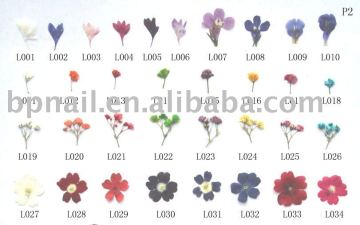 Nail Art Dry Flower Set