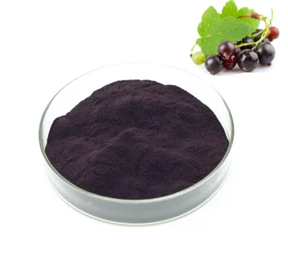 Black Currant Extract Powder