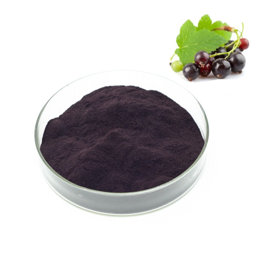 Natural Black Currant Extract Powder