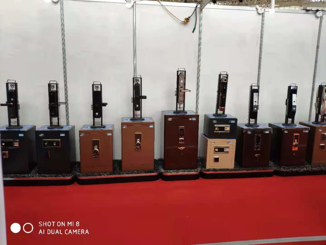 the exhibition of tiger safe box 