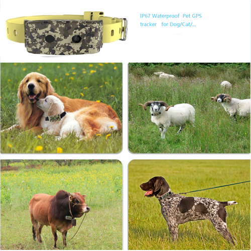 Realtime Tracking Systems GPS for Your Dog