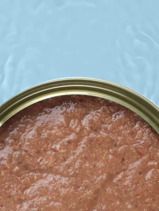OEM ODM cat can food tuna recipe