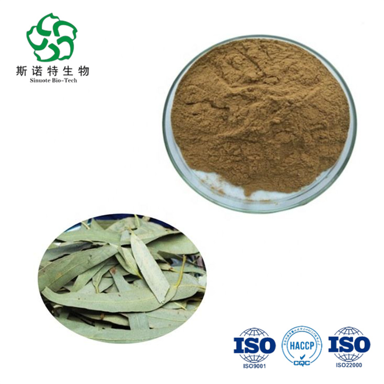 Eucalyptus Leaves Extract for Loosening Phlegm