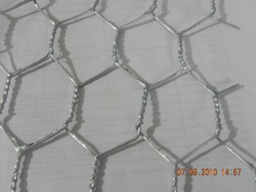 Hot DIP Galvanzied Hexagonal Wire Mesh (sx-128)