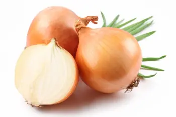 HOT SELLING HIGH QUALITY FRESH YELLOW ONION