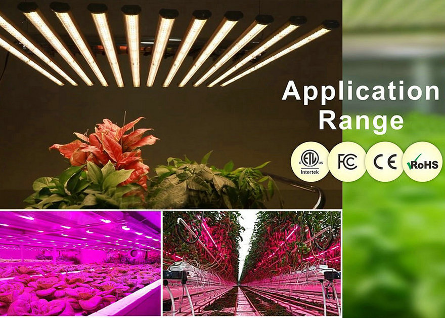 600w Led Grow Light For Vertical Farming 7 Jpg