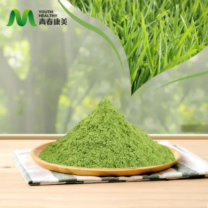 Barley Grass Powder for Immune Support