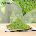 /msite/products/detail/productid/68347631/id/1501577.html