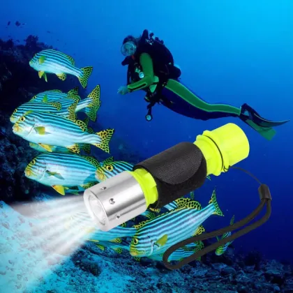 Best Waterproof Diving Light - 1000 Lumen Dive Torch Flashlight