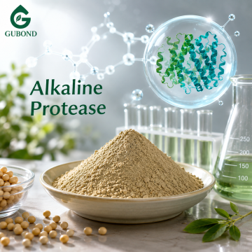 Proteasa alcalina para la descomposición de proteínas en el procesamiento de piensos