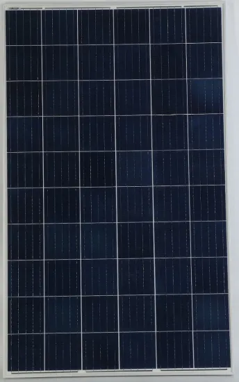290W Poly Solar Panel