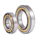 Hot selling Cylindrical Roller Bearing