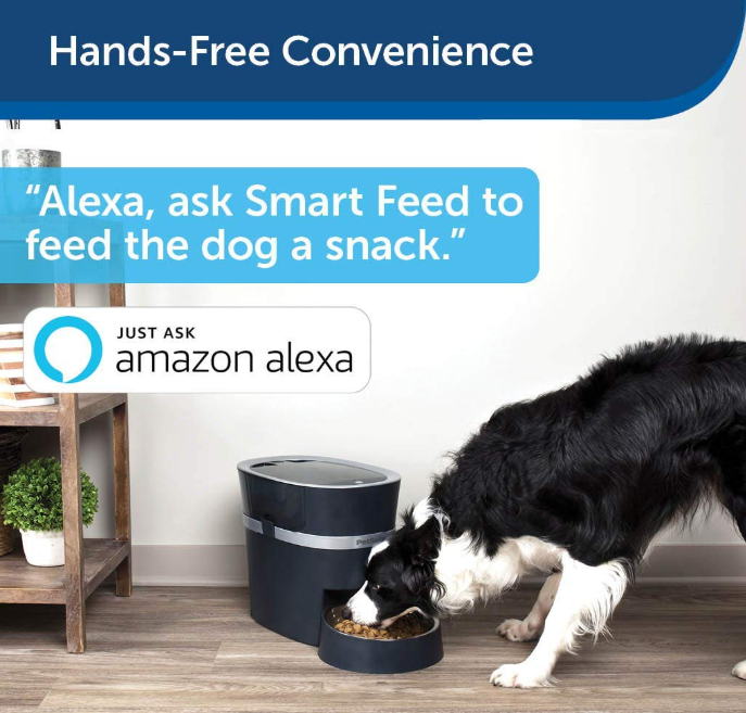 Smart Feed Automatic Pet Feeder