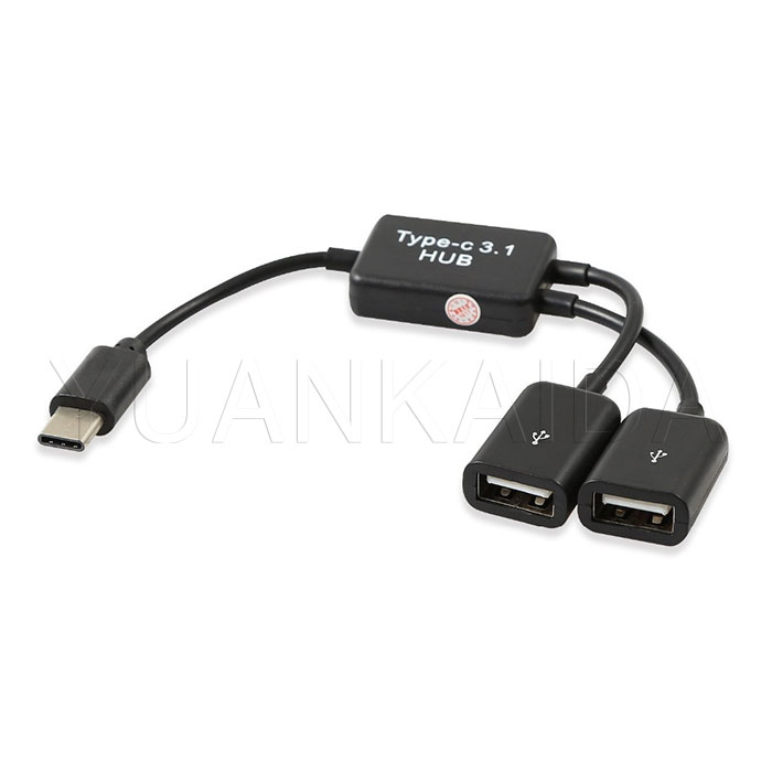 USB Type C to Dual OTG HUB