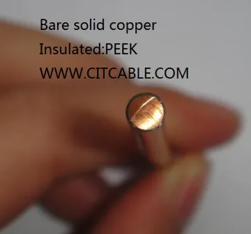 Peek Wire for Nuclear Application