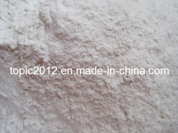 Sodium Bentonite for Coating Industry