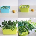 Indoor Garden Box Grow Kit Home Plant