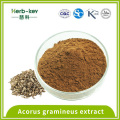 Promoting learning memory 10:1 Acorus gramineus extract