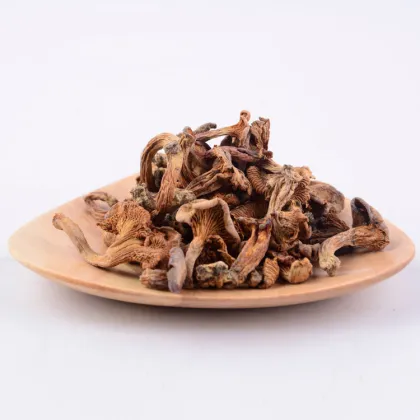 Wholesale Chinese Hot Product Chanterelle Mushroom