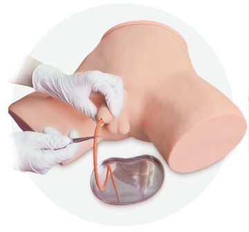 Men's Catheter Insertion Model