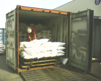 sodium bicarbonate
